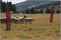 IMG_9399w