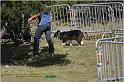 IMG_7326w