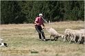 IMG_9210w