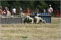 IMG_9225w