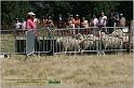 IMG_9226w
