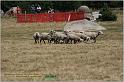 IMG_9241w