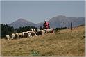 IMG_9248w