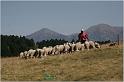 IMG_9249w