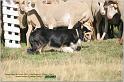 IMG_9631w