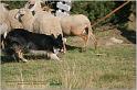 IMG_9632w