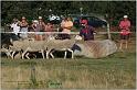 IMG_9635w