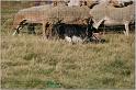IMG_9640w