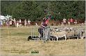 IMG_9656w