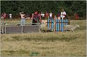 IMG_9661w