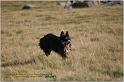IMG_9676w