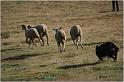 IMG_9680w