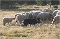 IMG_9688w
