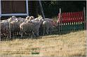 IMG_9691w