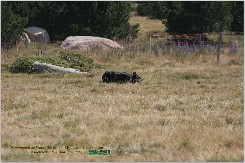 IMG_7656w.jpg