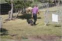 IMG_7623w