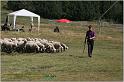 IMG_7639w