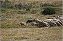 IMG_7664w
