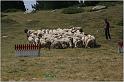 IMG_7685w