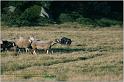 IMG_8663w