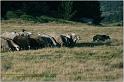 IMG_8664w
