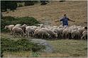 IMG_8072w