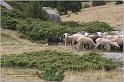 IMG_8073-1w