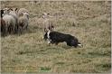 IMG_8084w