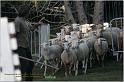 IMG_8669w