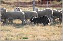 IMG_8686w