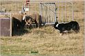 IMG_8699w