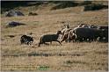 IMG_8710w