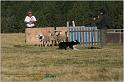 IMG_8712w