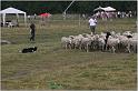 IMG_8097w