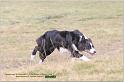IMG_8099w