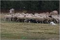 IMG_8103w