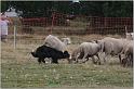 IMG_8105w