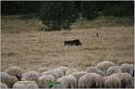 IMG_8125w