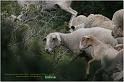 IMG_8139w