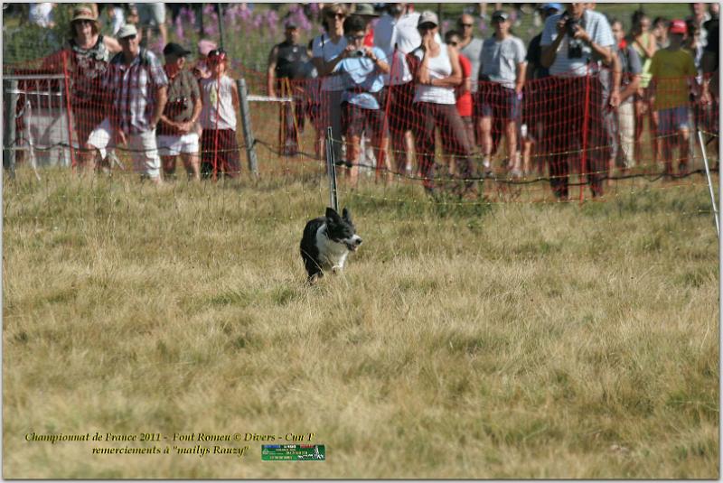 IMG_8852w.jpg