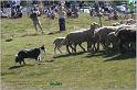 IMG_8839w