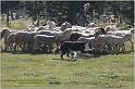 IMG_8841w