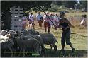 IMG_8847w