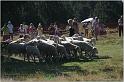 IMG_8848w