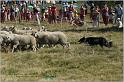 IMG_8856w