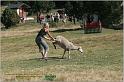 IMG_8867w