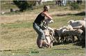 IMG_8869w