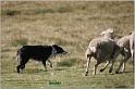 IMG_8885w