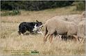 IMG_8911w