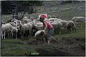 IMG_8327w